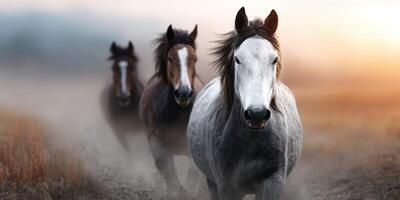Horses running through mist at sunrise in a serene landscape setting photo