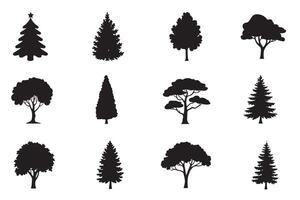 Set of different trees silhouettes on a white background vector