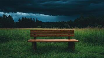 A bench sitting in a field under a dark sky photo
