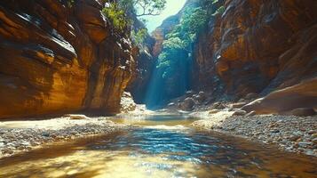 A river runs through a canyon with a sun shining down photo