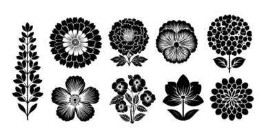 Vibrant flower illustration collection showcasing various botanical designs in a striking silhouette style vector