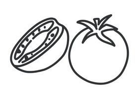 Black and white line doodle illustration of two tomatoes, one whole with a stem and one sliced showing seeds. Minimalist hand drawn vegetable design, isolated on white background. vector