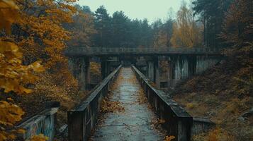An abandoned bridge in the woods with autumn leaves photo