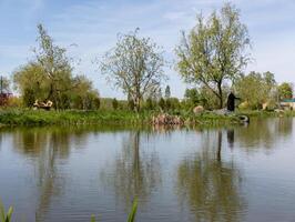 A man standing on the edge of a body of water next to a forest photo