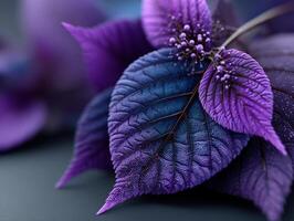 Vibrant close-up of purple leaves and delicate buds with intricate textures and fine detail, showcasing nature's vivid hues and organic patterns in a harmonious composition photo