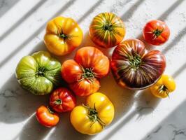 Variety of heirloom tomatoes in different colors and sizes showcasing vibrant shades of red, yellow, green, and multicolored stripes under gentle sunlight with shadow patterns photo