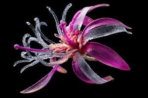 Intricate artificial flower with translucent petals in vibrant shades of pink and purple, surrounded by twisting, glass-like tendrils against a nondescript background. No text present photo