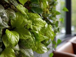 Lush green leaves with intricate patterns cascade in a vertical plant arrangement by a modern window, offering a glimpse of the serene outdoor environment through the glass photo
