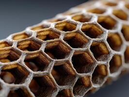 Hexagonal structure with interwoven fibers creates a honeycomb pattern. The intricate design showcases natural textures and geometric shapes in shades of brown and beige photo