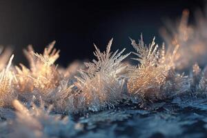 Intricate frost crystals glow in warm sunlight, their delicate patterns glistening against a cool backdrop. The scene captures the beauty of winter in exquisite detail photo