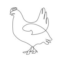 Minimalist chicken hen continuous line art drawing vector