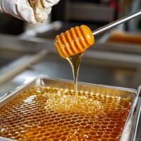A person in a white glove is pouring honey onto a tray photo