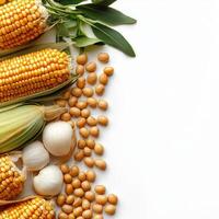 Corn, beans, and other vegetables on a white background photo