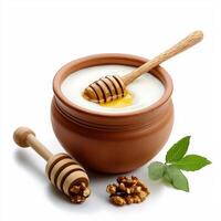 Yogurt with honey and walnuts in a clay pot photo