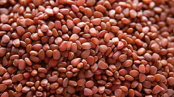 Pile of sesame seeds, close-up view. photo