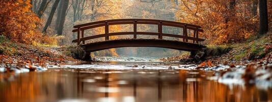 Tranquil bridge reflecting in a stream, autumn foliage. photo
