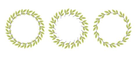 Gently simple flower circle frame. Hand drawn botanical round border, green branches wreath, laurel. vector