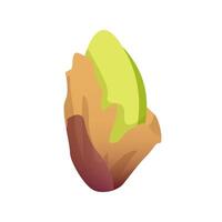 Pistachio without shell isolated on white background vector