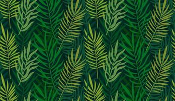 Hawaiian palm tree leaves seamless pattern. Tropical pattern with green coconut palm tree leaves vector