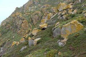 The rugged coast of the island Illa do Faro in Galicia, Spain photo