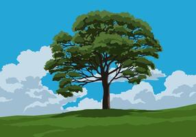 A tree in meadow. The sky is blue and cloudy vector