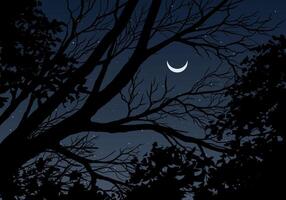 Tree branches stretch gracefully toward a shimmering crescent moon and a sprinkle of twinkling stars vector