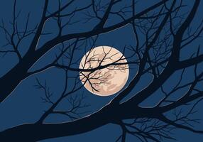 Illustration of moon behind the tree branch vector