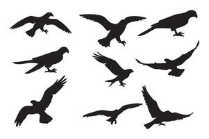 Set of silhouettes of birds in flight vector