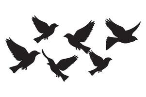 A flock of birds flying in the air vector