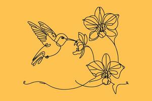 Hummingbird and orchid continuous line illustration vector
