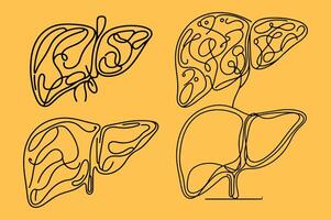 Liver, lungs and heart on a yellow background vector
