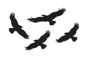 Four black birds flying in the air on a white background vector