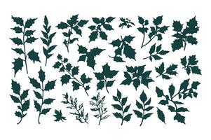 Set of leaves and leaves vector