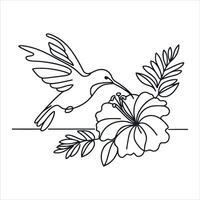 Hummingbird with hibiscus flower line art vector