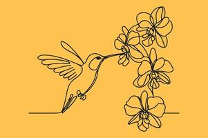 Hummingbird and orchid, continuous line illustration illustration vector