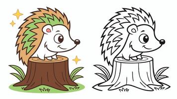 Hedgehog coloring pages vector