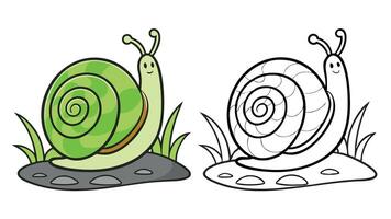 Two cartoon snails on a rock vector