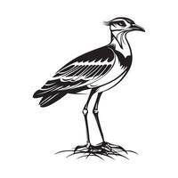 Lapwing Standing Image Isolated on white background. vector