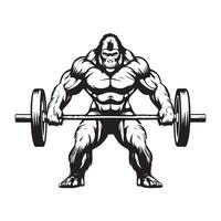 Gorilla Lifting Stock Illustrations on white background vector