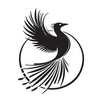 Silhouette Lyrebird design logo template image vector
