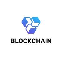 Hexagon Blockchain Data Crypto Logo vector