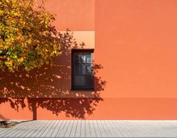Tree casting shadow on orange building facade with single window during sunny autumn day photo