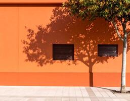 Tree casting shadow on orange building facade with two windows photo
