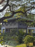 Wooden building in the elephant sanctuary next to the lake with lotus, conservation center offering a protected national environment for the gentle large mammals, wildlife habitat. photo