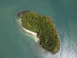 Aerial view of tropical beach and panoramic forest with exotic palm trees and blue sky, coastal scenery featuring tall coconut trees on a sunny shoreline. Tranquil seashore in Thailand. photo