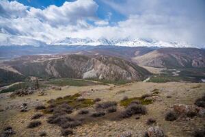 Panoramic view of Kurai Steppe with snow-covered North Chuysky Ridge in Altai Russia. Wide Siberian mountain landscape showcasing winter terrain and open plains. High quality photo