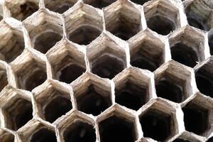 Macrophotography Wasp nest with hexagonal holes. Abstract textural backgrounds with dense hexagonal structure without gaps. Wasp nest for storing larvae, pollen and honey. Transparent nest. text space photo