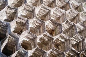 Macrophotography Wasp nest with hexagonal holes. Abstract textural backgrounds with dense hexagonal structure without gaps. Wasp nest for storing larvae and pollen. Transparent nest. Trypophobia photo