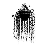 Silhouette of a hanging potted String of Pearls plant with cascading string-like vines, in a minimal monochrome graphic style, isolated on a white background vector
