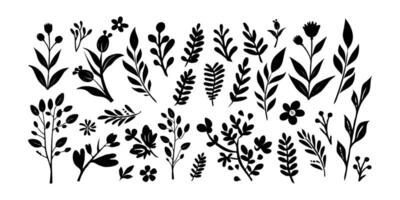A collection of black silhouette botanical elements with hand-drawn style, featuring leaves, stems, and flowers on a clean white background vector